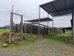 Área de 20ha própria para confinamento de gado 