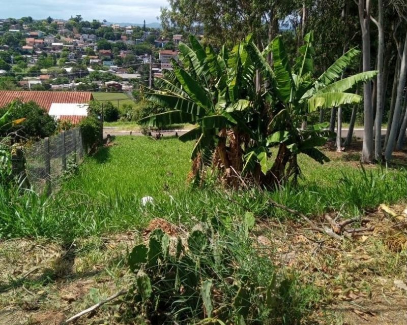 Terreno bem localizado no bairro Rincão 